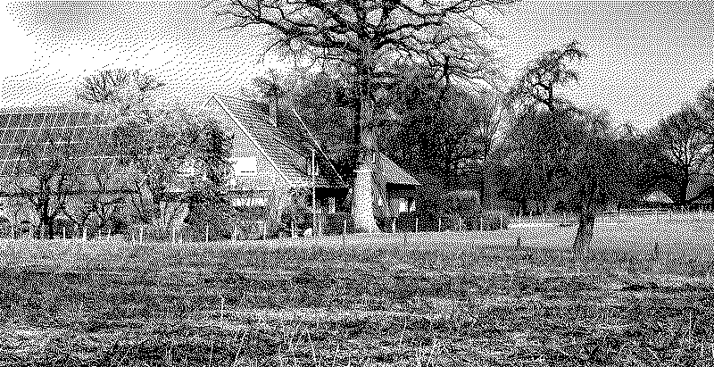 A rural house with solar panels on part of its roof, behind a large leafless tree and a grassy field