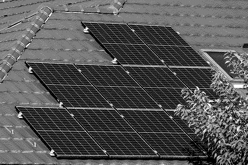 Rows of solar panels mounted on a pitched roof, with leafy branches in the lower right corner